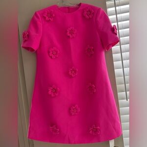 NWT - Vibrant Pink Dress with Floral Details